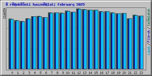 Óránkénti használat: February 2025