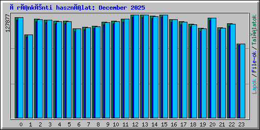 Óránkénti használat: December 2025